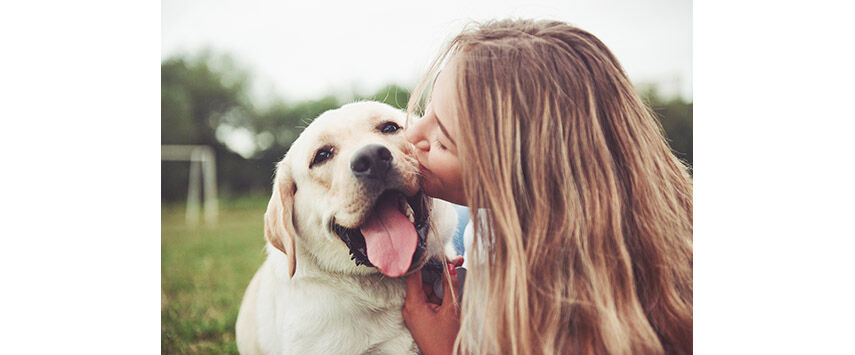 Pet Wellness and Healthcare